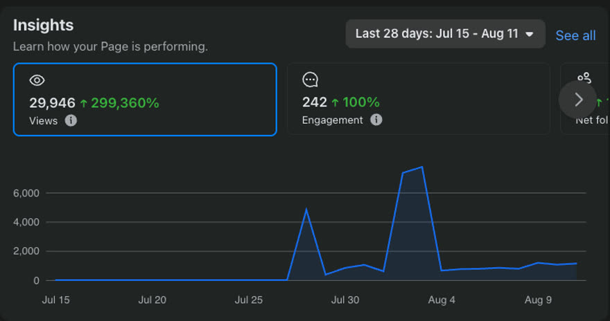 Facebook Page Insights for July 15 to August 11 showing 29,946 views, up 299,360 percent, and 242 engagements, with the traffic line flat at zero until late July then spiking